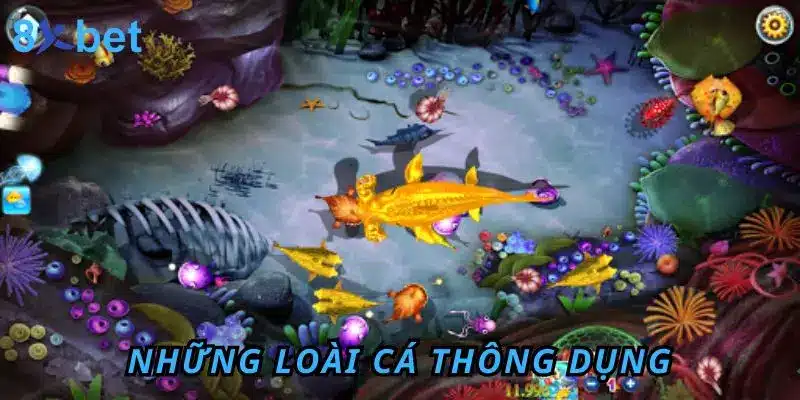 Bắn Cá iCa – Trải Nghiệm Giải Trí Đổi Thưởng Hấp Dẫn 3 Những loài cá thông dụng